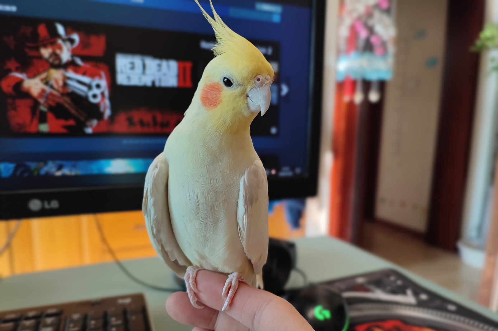 这还差不多，哼哼